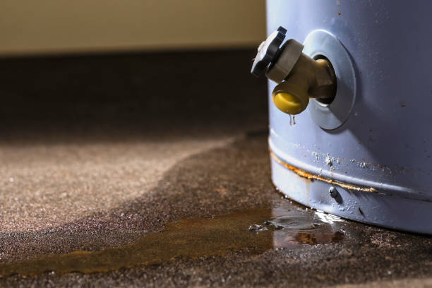 Best Professional water damage repair  in Freemansburg, PA