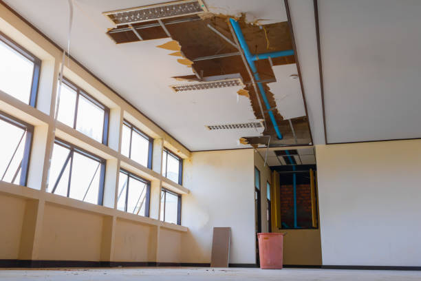 Best Flood damage cleanup  in Freemansburg, PA