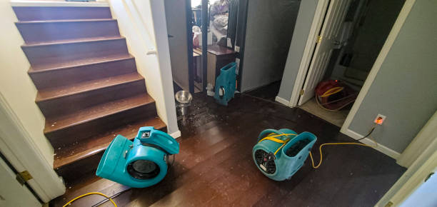 Best Water damage contractors near me  in Freemansburg, PA
