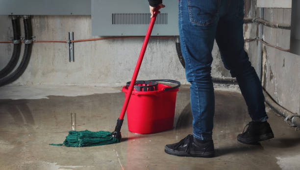 Best Residential water damage restoration  in Freemansburg, PA