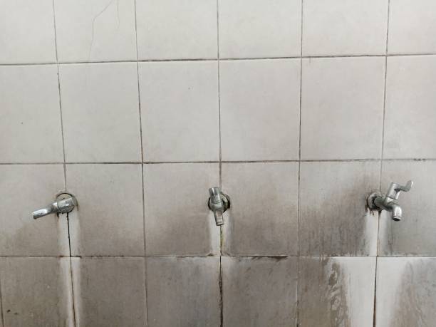 Best Emergency water damage restoration  in Freemansburg, PA