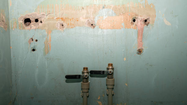 Best Flood damage cleanup  in Freemansburg, PA