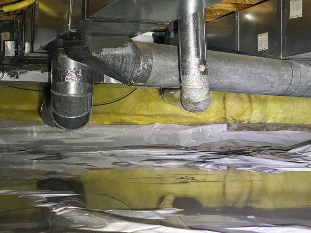 Best Basement water damage restoration  in Freemansburg, PA