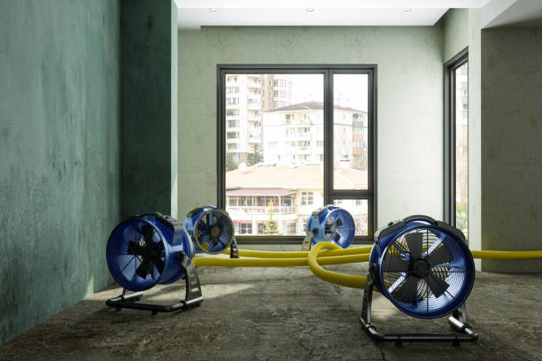 Best Sewage cleanup and water damage restoration  in Freemansburg, PA